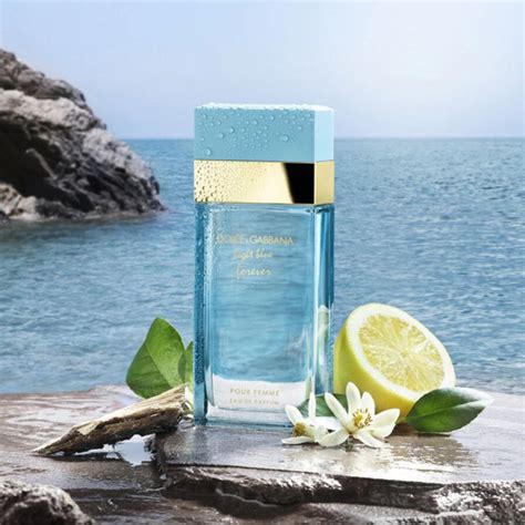 parfum dolce gabbana femme light blue|light blue perfume on sale.